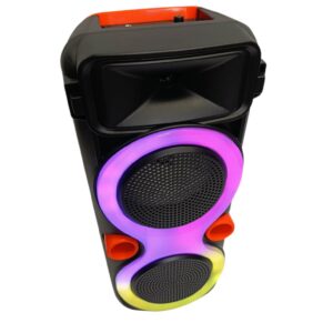 Głośnik bluetooth przenośny, karaoke